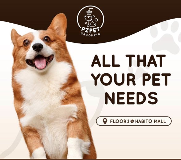 PZ Pet Grooming