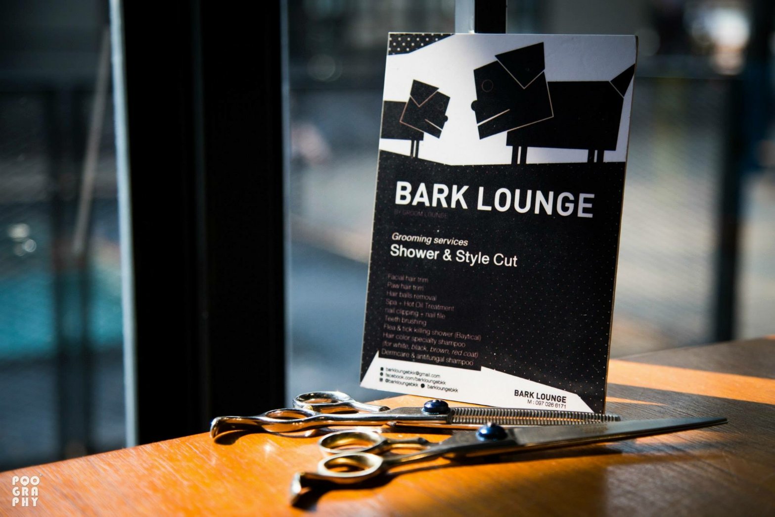bark-lounge
